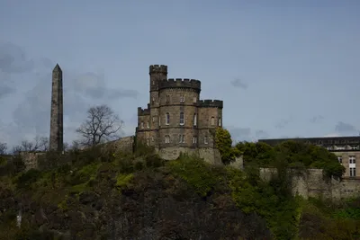 DSC_7355 (Large).JPG